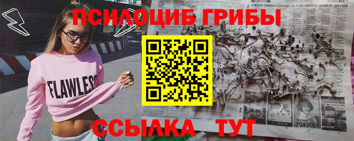 Галлюциногенные грибы MAGIC MUSHROOMS Полысаево