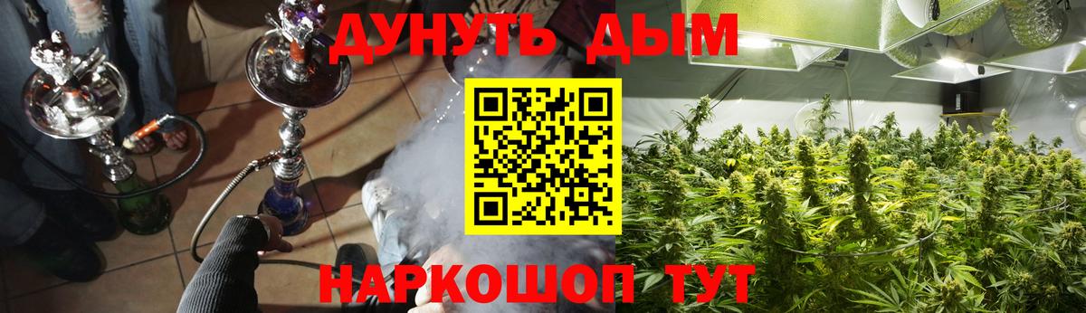 Марихуана план  Канабис ГИДРОПОН  Полысаево  Вход с VPN  Канабис Amnesia 